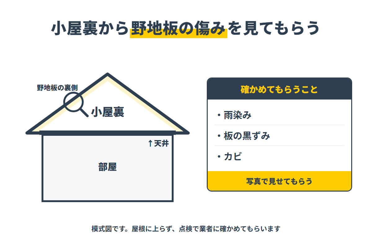 小屋裏から雨染み・板の黒ずみ・カビを確かめてもらう点検の位置