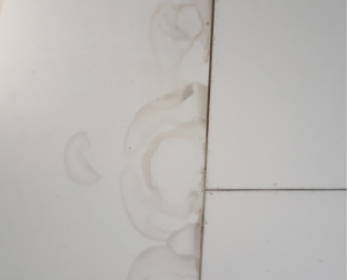 天井の雨漏り修理 before